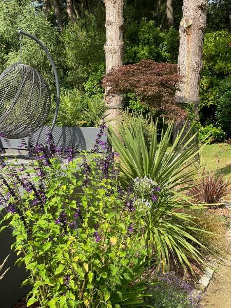 végétalisation jardin Plumergat végétalisation jardin Plumergat