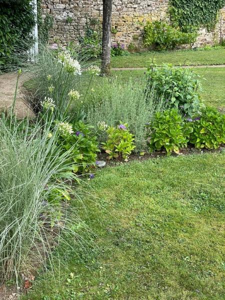 choix plantes jardin Vannes choix plantes jardin Vannes