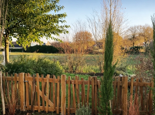 création jardin paysagiste